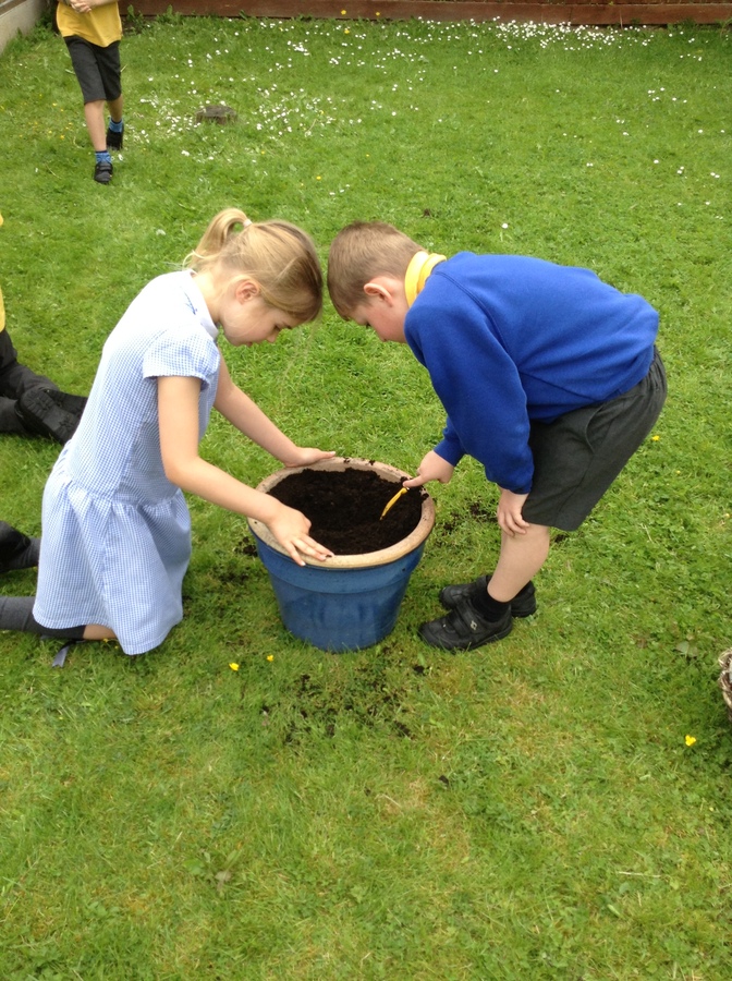 KS1 Planting - May 2023